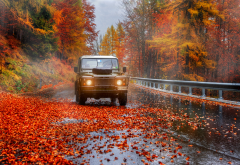 autumn, nature, road, tree, leaves, fog, leaf, cars,  wallpaper