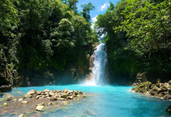 san jose, costa rica, rainforest, nature, waterfall, tree, stones, river wallpaper