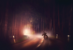 road, fog, forest, night, motorcyclist, biker, bike, motorcycle wallpaper