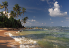 shore, beach, sand, waves, palm, clouds, ocean, sri lanka wallpaper