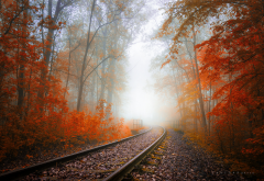 autumn, railway, tree, fog, haze, leaves, autumn colors, nature wallpaper