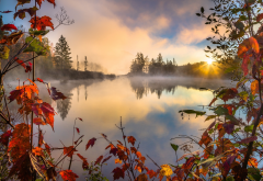 nature, autumn, morning, beautiful, fog wallpaper