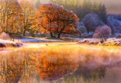 autumn, river, november, tree, hoarfrost, nature, morning, frost, reflection wallpaper