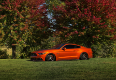 ford mustang, nature, cars, orange cars, ford, ford mustang gt lowered wallpaper