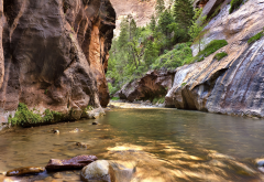nature, canyon, gorge, river, stones, water, narrows, zion national park wallpaper