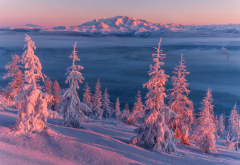 nature, landscape, winter, snow, mountains, slope, tree, sunset, kolyma, russia wallpaper