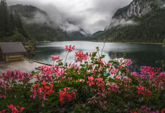 nature, landscape, mountains, lake, forest, flowers, geranium wallpaper