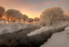 nature, winter, snow, tree, frost, stream, river wallpaper