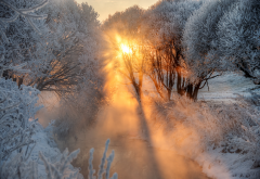 nature, winter, snow, tree, frost, sun, stream wallpaper
