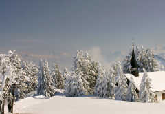 winter, landscape, switzerland, tree, fir, snow, house wallpaper