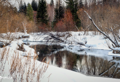 snow, forest, reflection, river, askhyz, khakassia, russia, winter wallpaper
