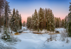 nature, landscape, forest, river, winter, snow, beautiful wallpaper