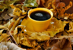 coffee, petals, leaf, nature, food wallpaper