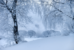 nature, winter, snow, tree, chirch wallpaper