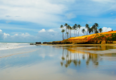 sky, ocean, reflection, beach, palm trees, brazil, nature wallpaper