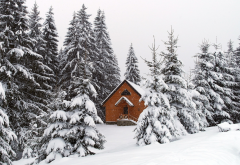 nature, carpathian mountains, ukraine, winter, snow, hamlet wallpaper