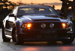 ford mustang, black cars, ford, cars wallpaper