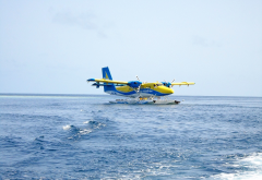 sea, seaplane, trans maldives, maldives, 8Q-TMJ, dhc-6-300, twin otter wallpaper