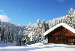 winter, snow, forest, house, tree, nature wallpaper