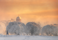 tree, winter, sky, nature, snow, church, dome, saint petersurg, russia wallpaper