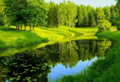 river, park, trees, greenery, reflection, pavlovsk, russia, nature wallpaper