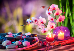 spa, vase, flowers, orchid, stems, bamboo, candles, plate, stones wallpaper