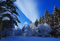 nature, winter, snow, trees, fir trees, sky, forest wallpaper