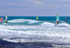 windsurfing, sea, waves wallpaper