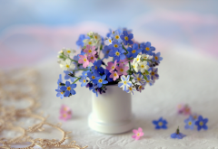 vase, flowers, forget-me-not, nature wallpaper