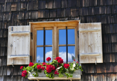 house, window, shutters, flowers wallpaper