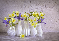 vase, flowers, daffodils, snowdrops, irises, spring wallpaper
