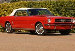 1964 mustang convertible, cars, red car, mustang, mustang convertible wallpaper