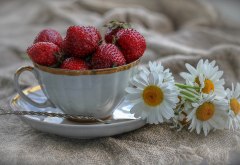 cup, berry, strawberry, flowers, daisies, summer wallpaper