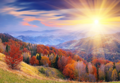 nature, landscape, hill, forest, autumn, dawn, sun rays, sun wallpaper