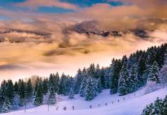italy, nature, landscape, mountains, forest, fir, winter, snow, clouds, fog wallpaper