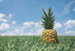 pineapples, grass, fruit, food wallpaper