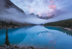 canada, reserve, banff, mountains, forest, lake, nature, landscape, morning, fog wallpaper