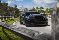 ford mustang gt500, black car, cars, ford mustang, ford wallpaper