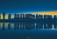 trees, lake, sky, nature, reflection wallpaper