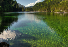 austria, lake, forest, clear water, nature wallpaper