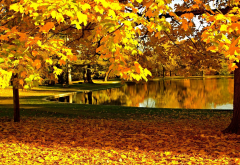 nature, autumn, park, trees, pond, leaf wallpaper