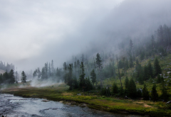 landscape, nature, Yellowstone National Park, forest, river, mist, mountain, trees, grass wallpaper