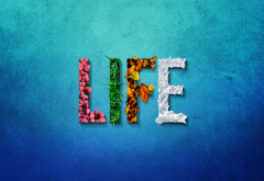 life, text, word, simple wallpaper