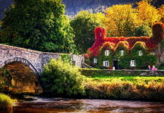 tea house, wales, nature, landscape, bridgw, river, house wallpaper